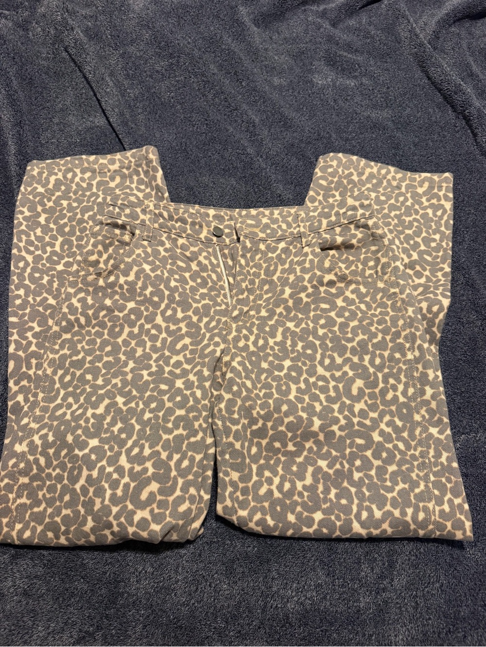 Woman’s Leopard Print Casual Pants - Taupe/Grey